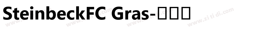 SteinbeckFC Gras字体转换